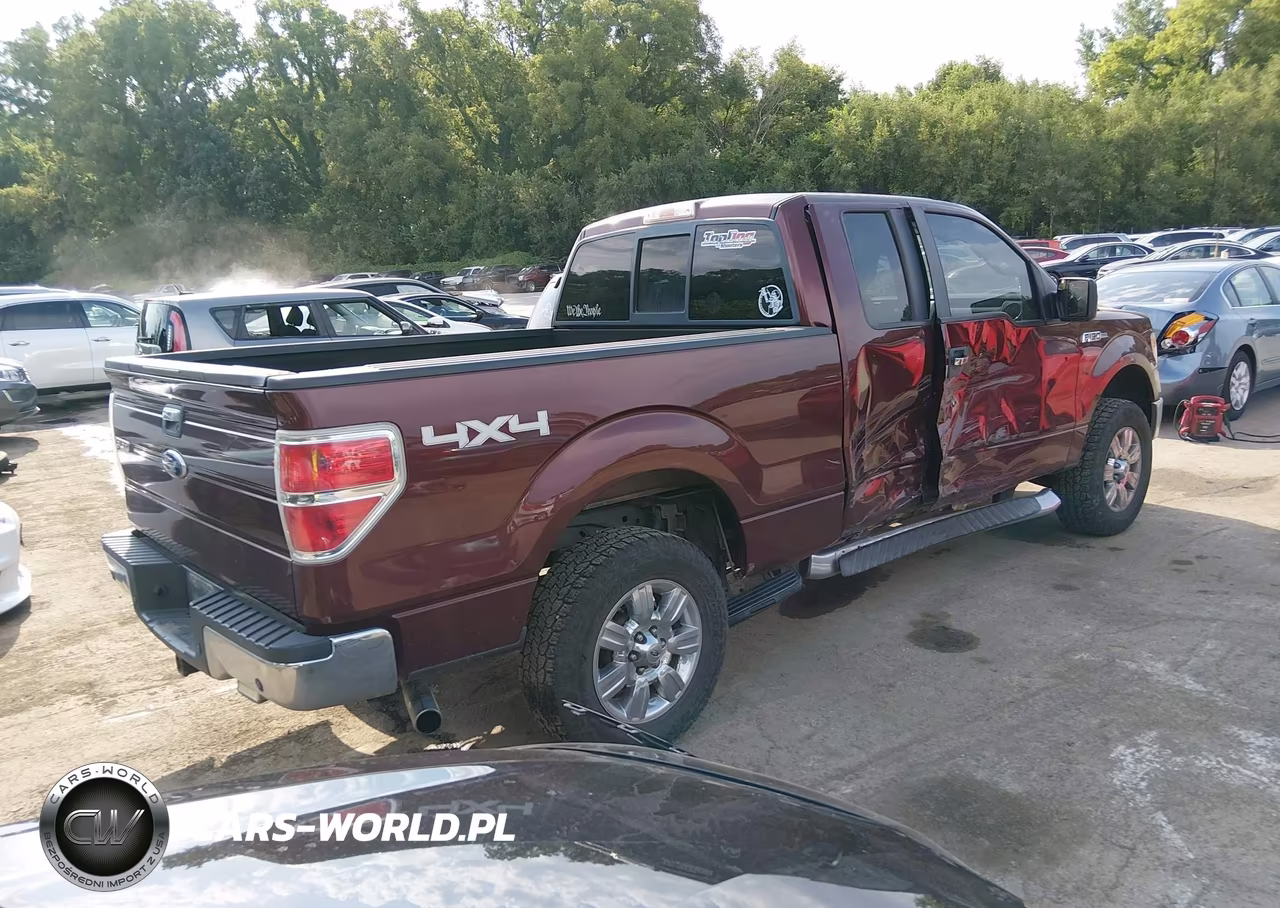 2010 Ford F-150 Stx-Xl-Xlt VIN:1FTEX1E83AFC97298 - 4