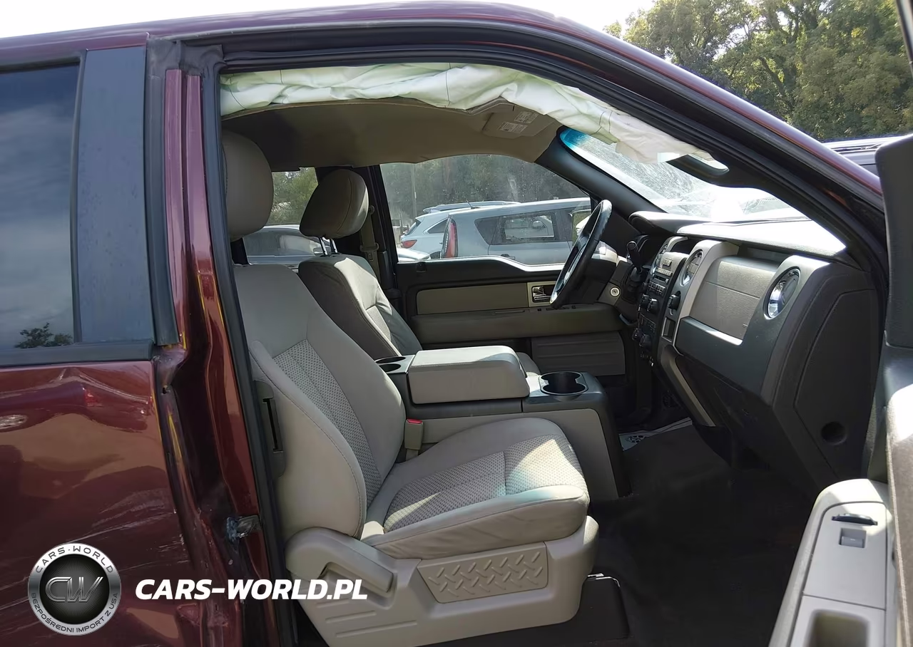 2010 Ford F-150 Stx-Xl-Xlt VIN:1FTEX1E83AFC97298 - 5