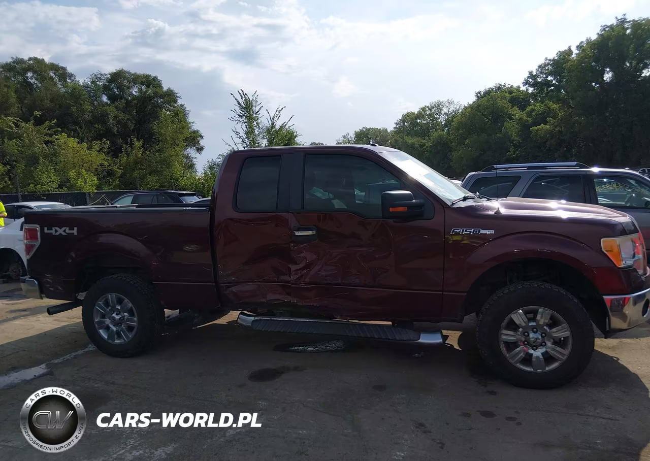 2010 Ford F-150 Stx-Xl-Xlt VIN:1FTEX1E83AFC97298 - 6