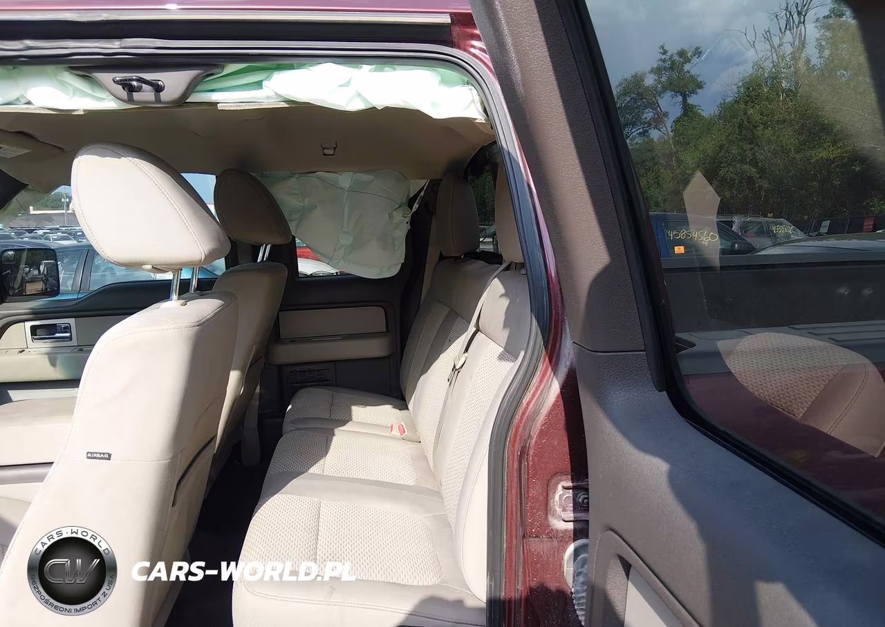 2010 Ford F-150 Stx-Xl-Xlt VIN:1FTEX1E83AFC97298 - 8