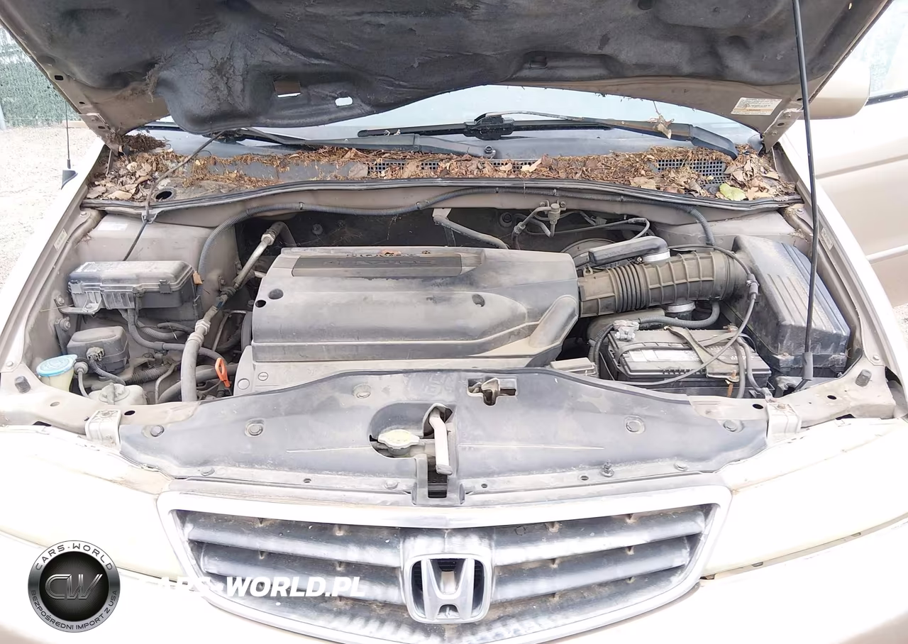2003 Honda Odyssey Ex-L VIN:5FNRL18923B018366 - 10