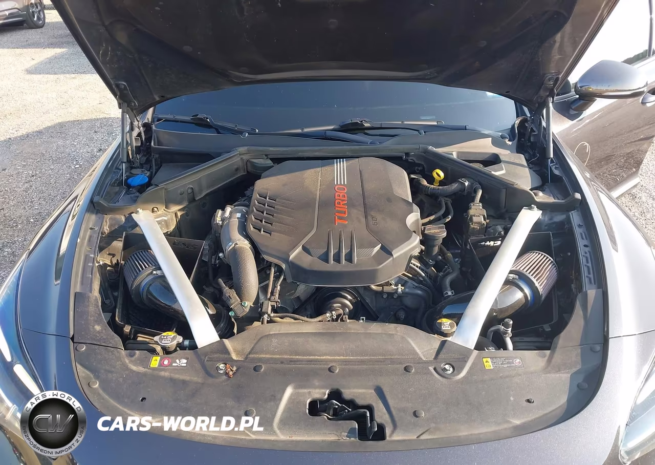 2022 Kia Stinger Gt1 VIN:KNAE45LC9N6109779 - 10