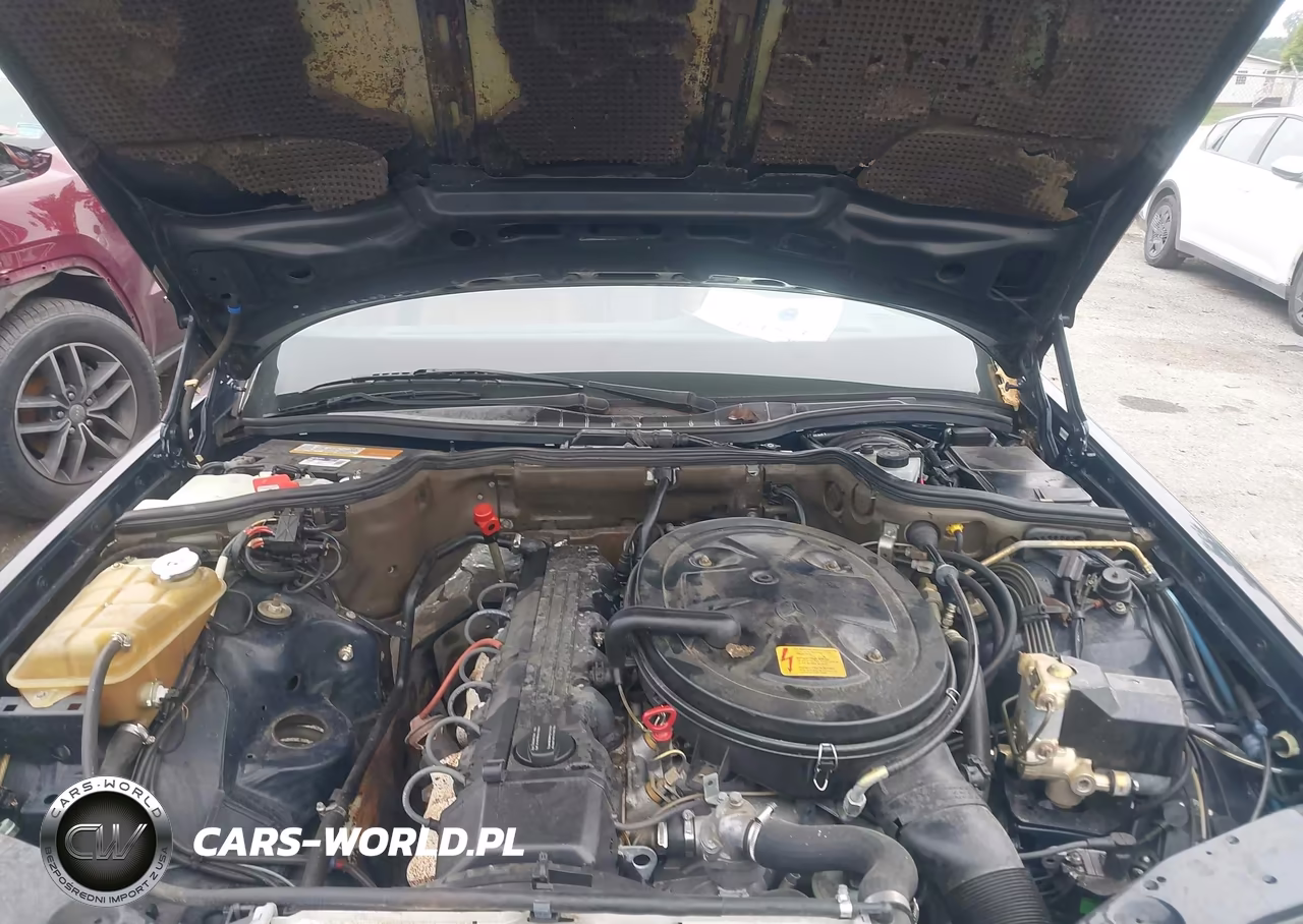 1991 Mercedes-Benz 300 Sel VIN:WDBCA25E8MA561250 - 10