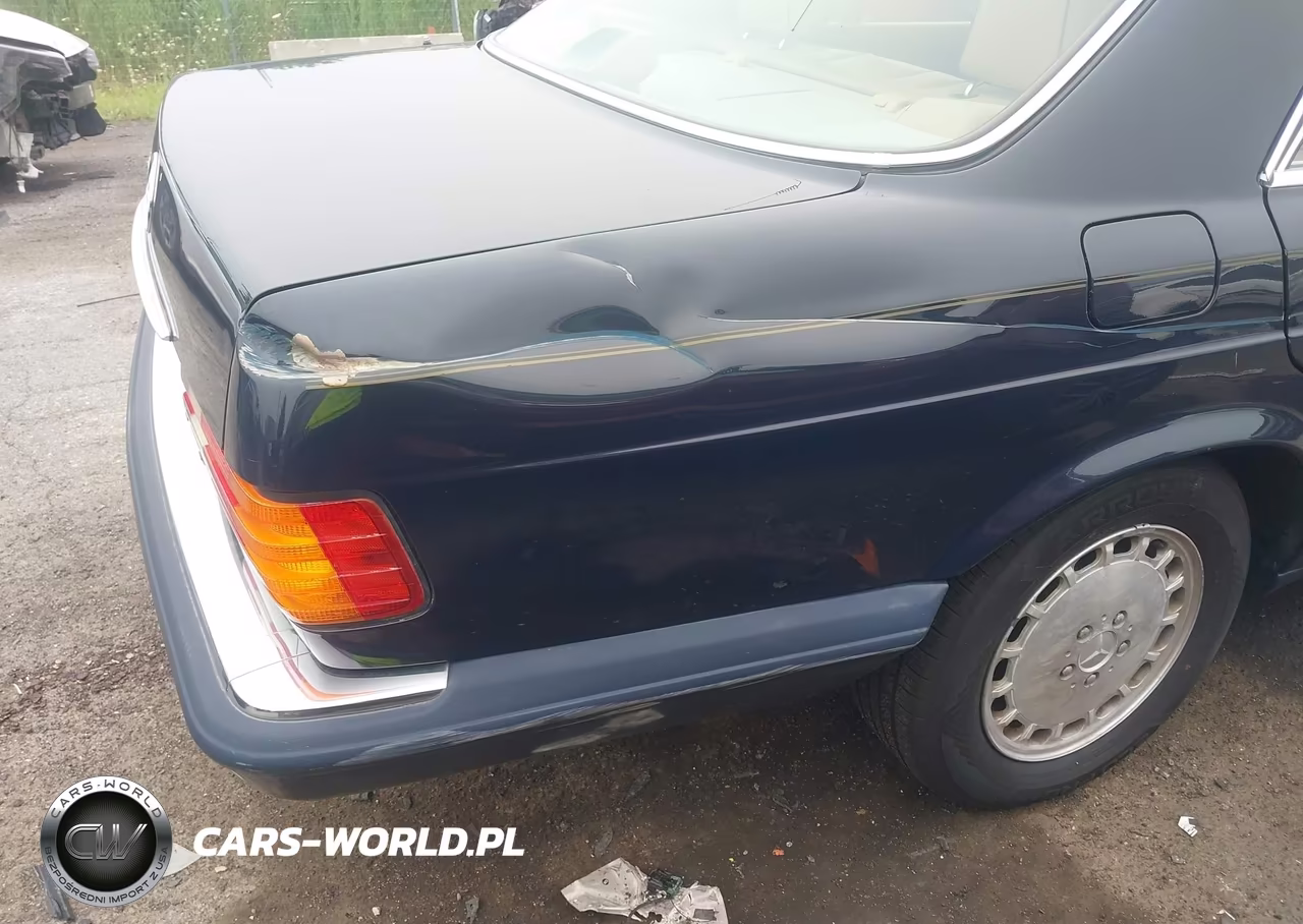1991 Mercedes-Benz 300 Sel VIN:WDBCA25E8MA561250 - 6