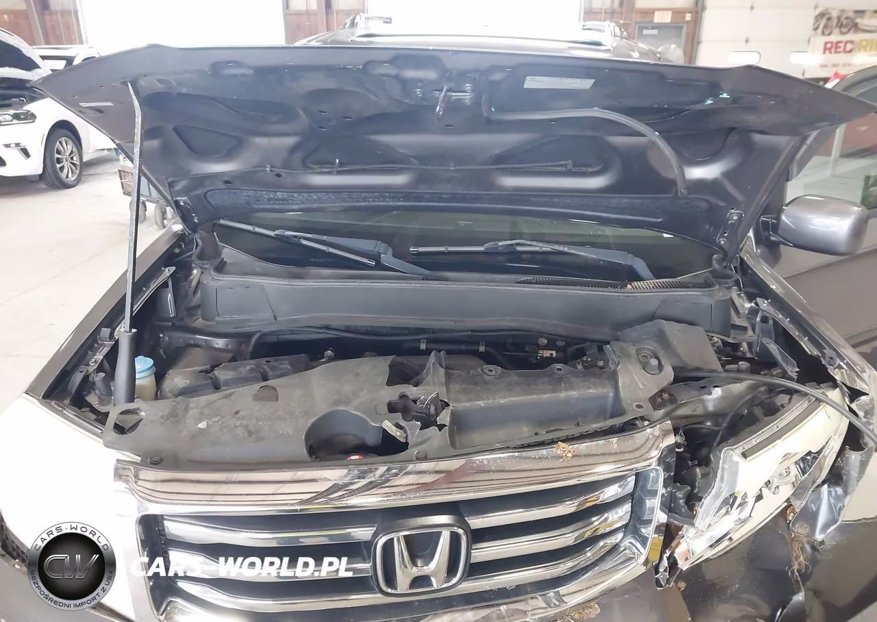 2014 Honda Pilot Ex-L VIN:5FNYF4H54EB033858 - 10