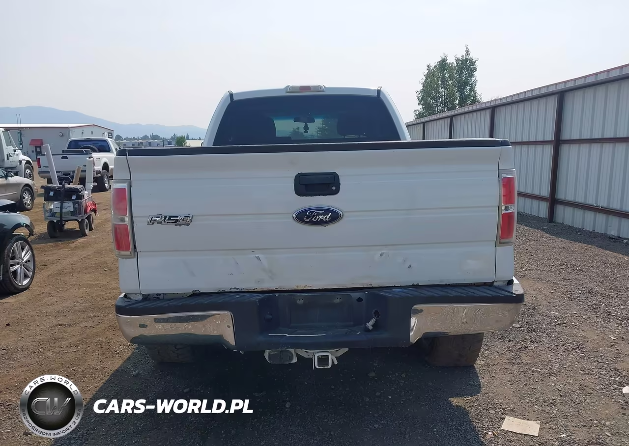 2010 Ford F-150 Fx4-Lariat-Xl-Xlt VIN:1FTFX1EV7AFB64389 - 15