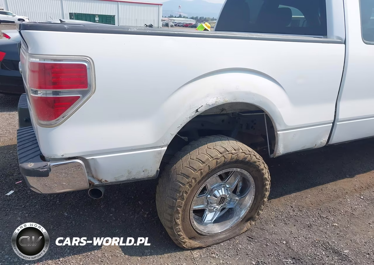 2010 Ford F-150 Fx4-Lariat-Xl-Xlt VIN:1FTFX1EV7AFB64389 - 16