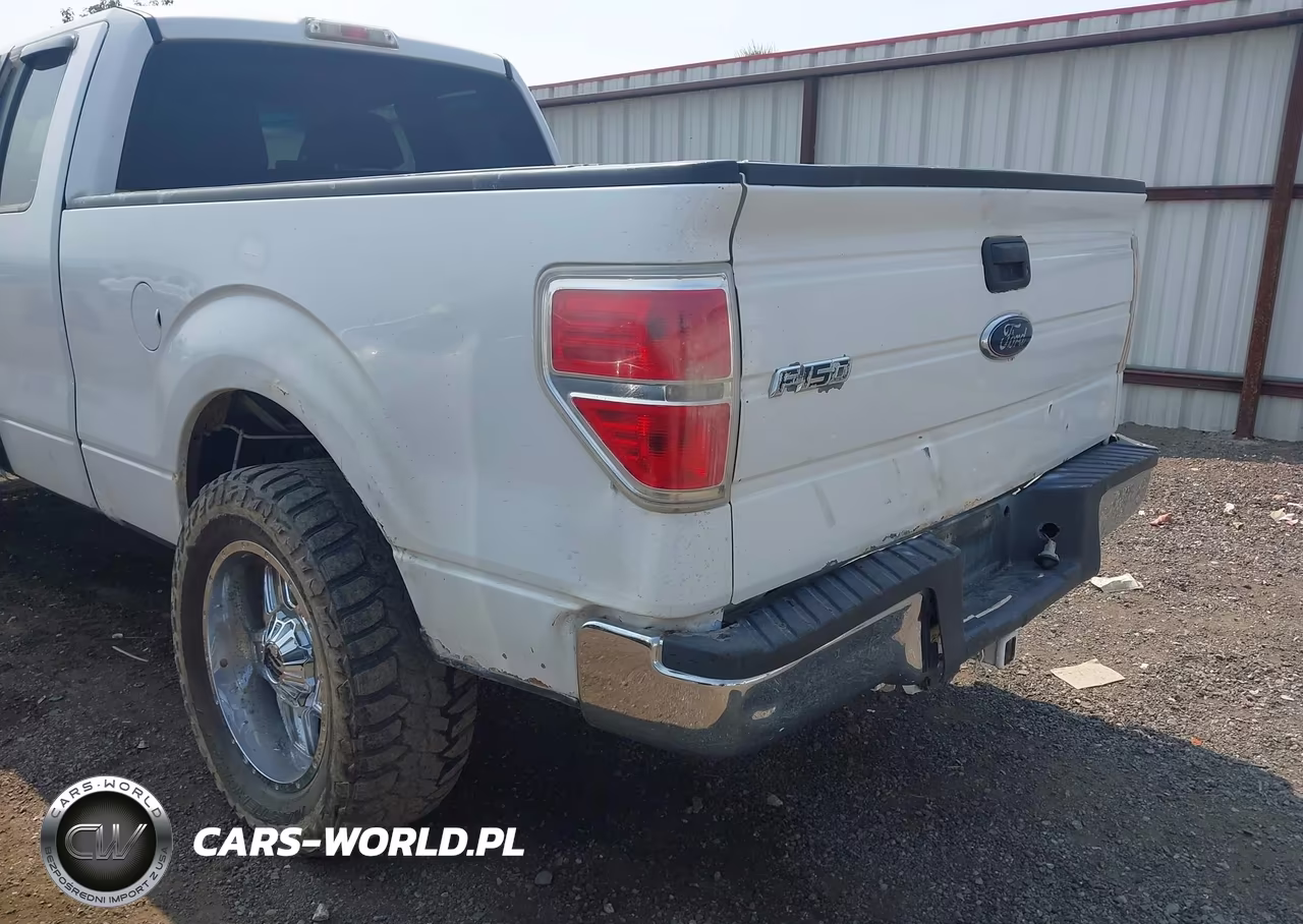 2010 Ford F-150 Fx4-Lariat-Xl-Xlt VIN:1FTFX1EV7AFB64389 - 17