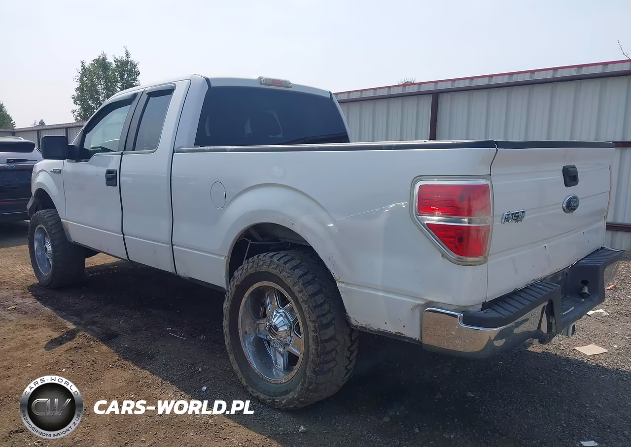 2010 Ford F-150 Fx4-Lariat-Xl-Xlt VIN:1FTFX1EV7AFB64389 - 3