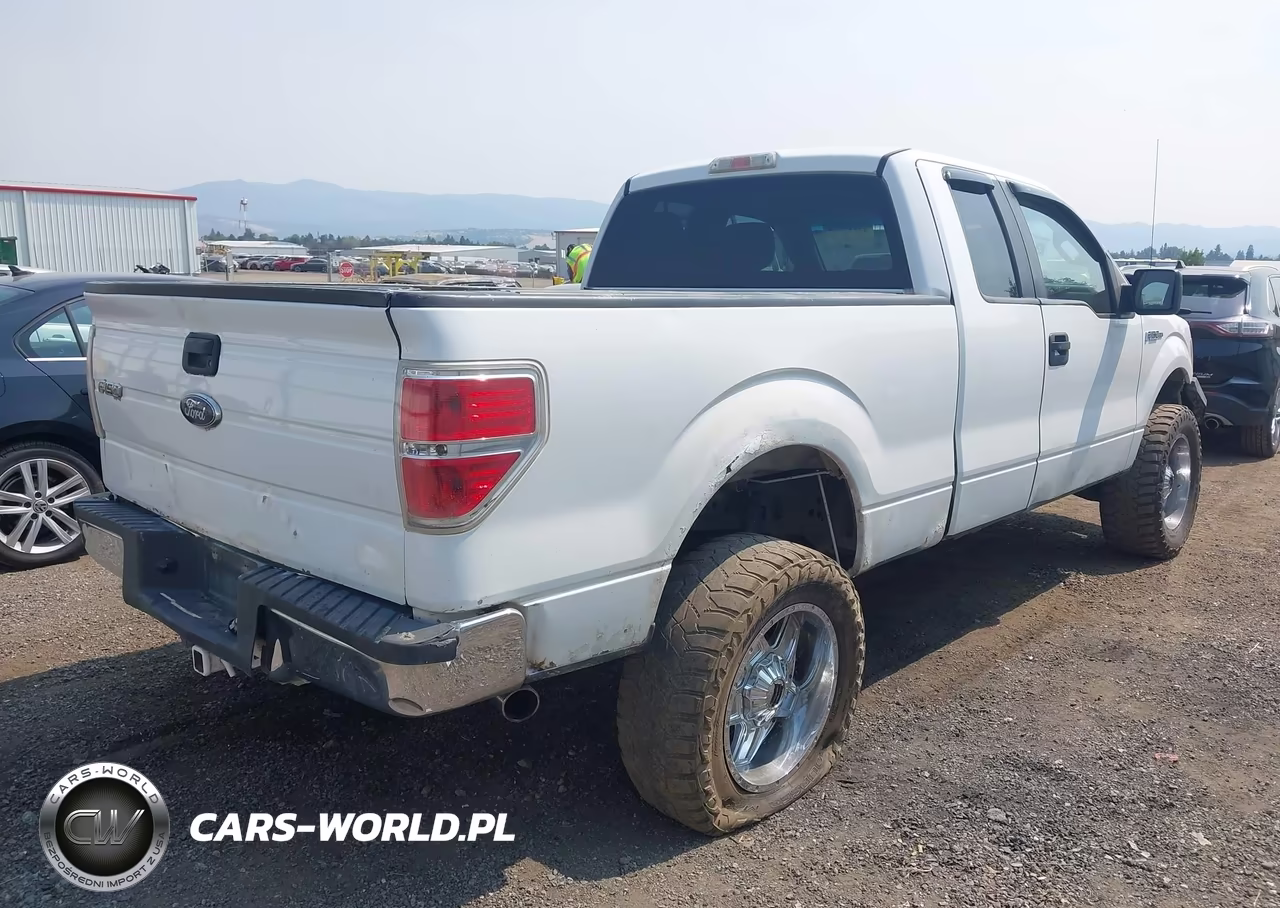 2010 Ford F-150 Fx4-Lariat-Xl-Xlt VIN:1FTFX1EV7AFB64389 - 4