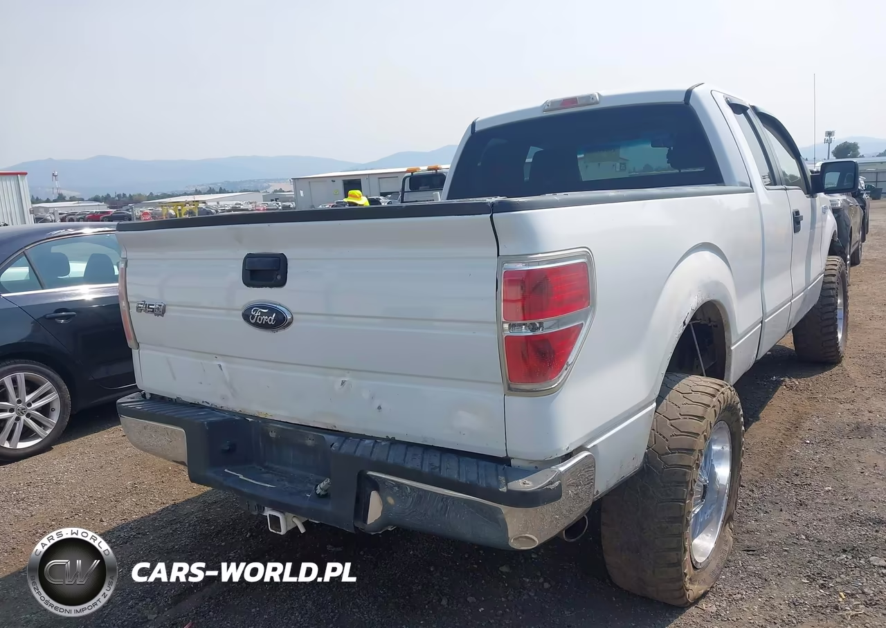 2010 Ford F-150 Fx4-Lariat-Xl-Xlt VIN:1FTFX1EV7AFB64389 - 6