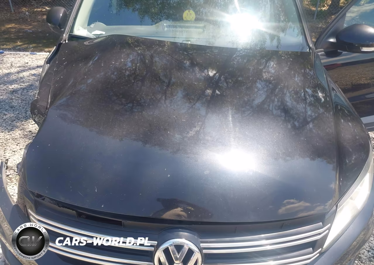 2016 Volkswagen Tiguan S VIN:WVGAV7AX3GW528046 - 10