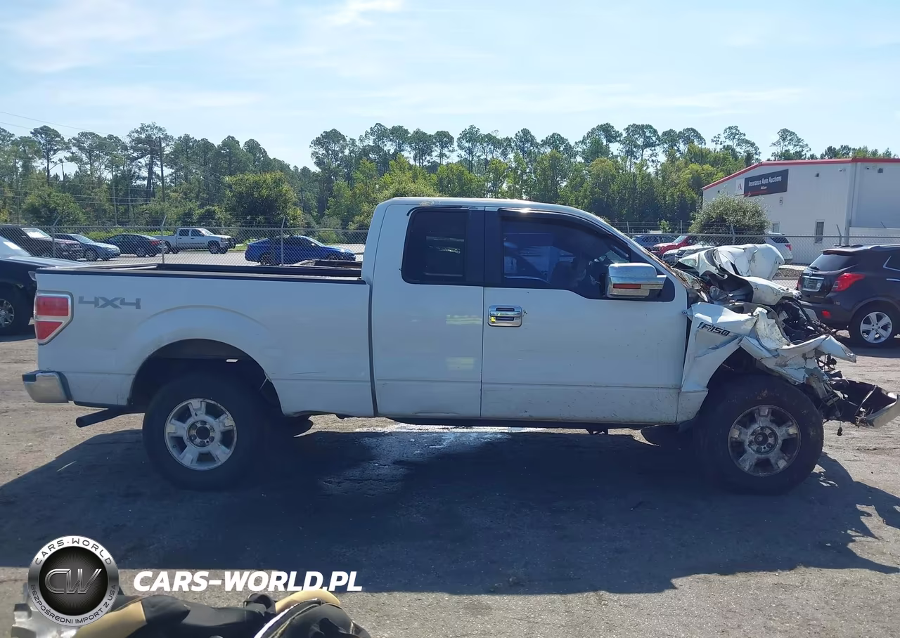 2009 Ford F-150 Fx4-Lariat-Xl-Xlt VIN:1FTPX14VX9KB76027 - 13