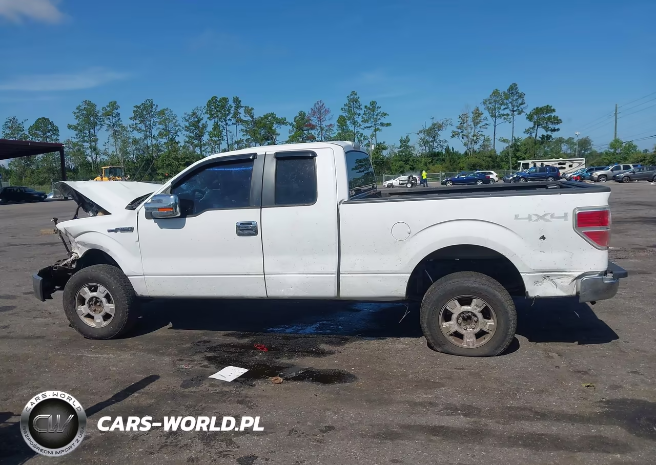 2009 Ford F-150 Fx4-Lariat-Xl-Xlt VIN:1FTPX14VX9KB76027 - 14