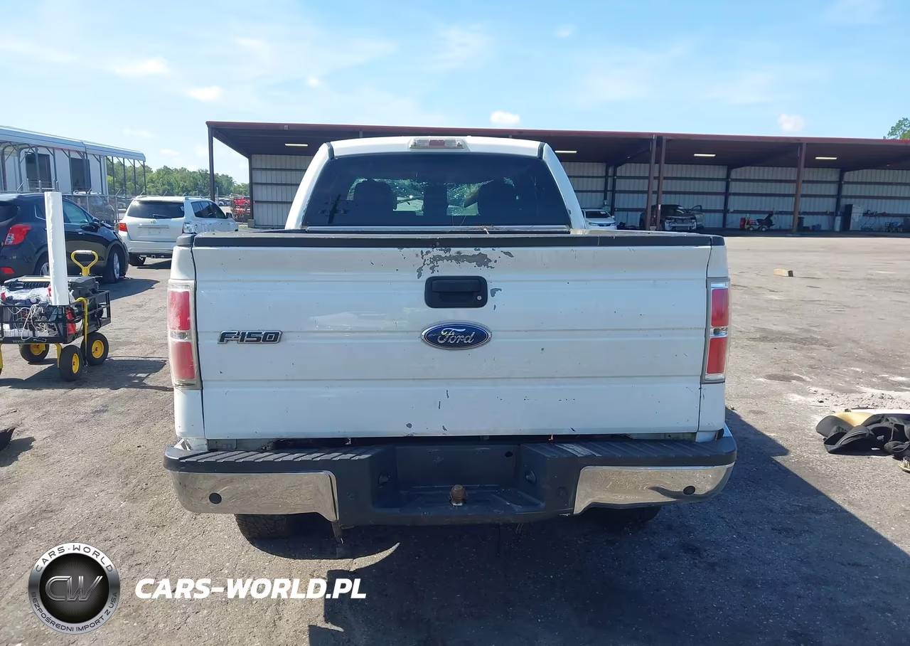 2009 Ford F-150 Fx4-Lariat-Xl-Xlt VIN:1FTPX14VX9KB76027 - 16