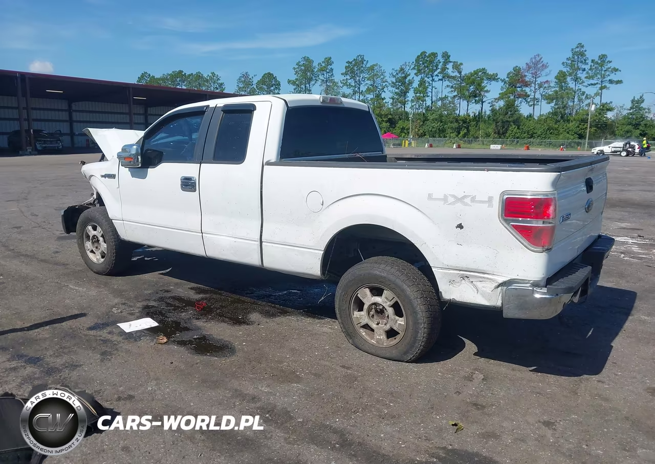 2009 Ford F-150 Fx4-Lariat-Xl-Xlt VIN:1FTPX14VX9KB76027 - 3