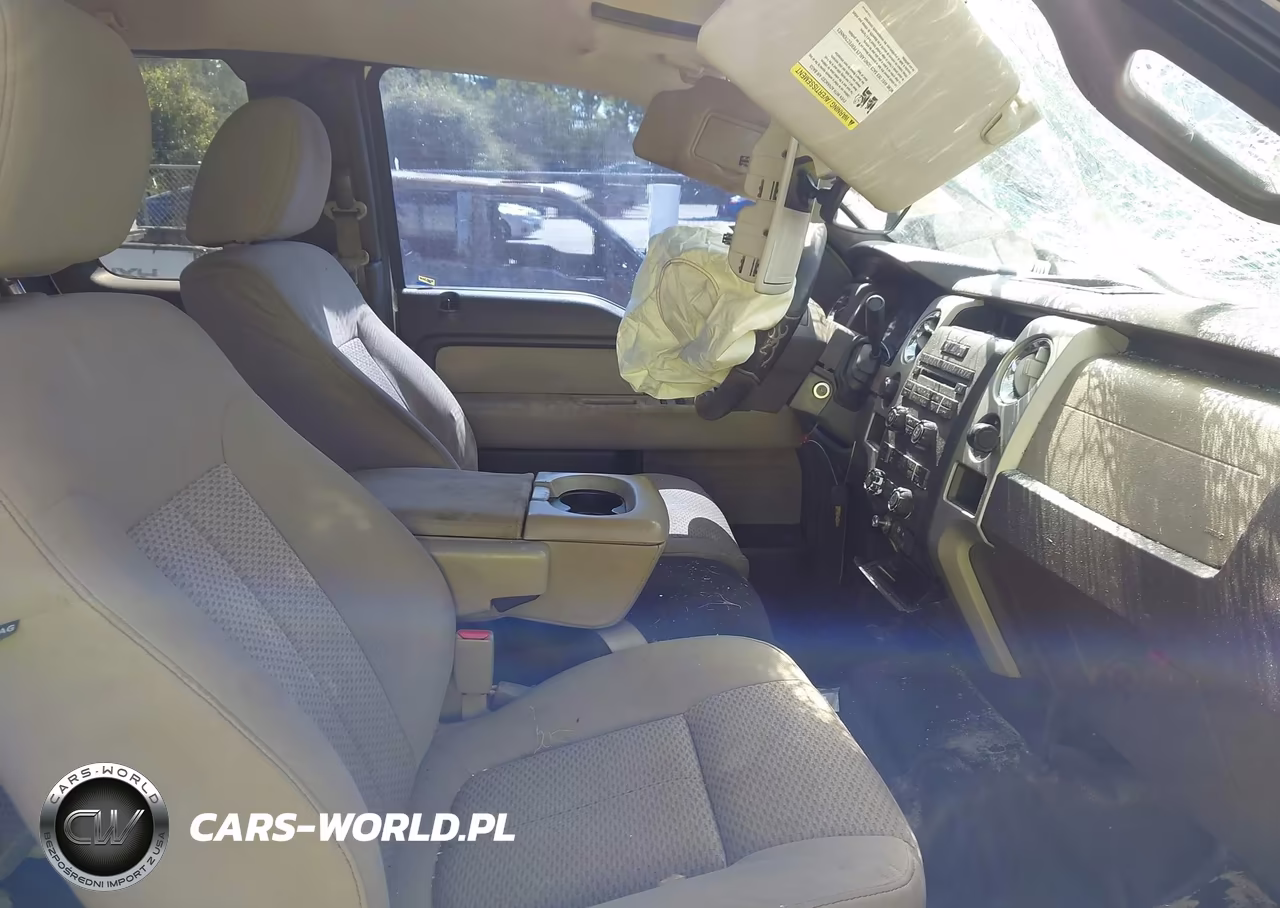 2009 Ford F-150 Fx4-Lariat-Xl-Xlt VIN:1FTPX14VX9KB76027 - 5