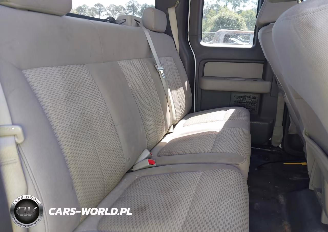 2009 Ford F-150 Fx4-Lariat-Xl-Xlt VIN:1FTPX14VX9KB76027 - 8