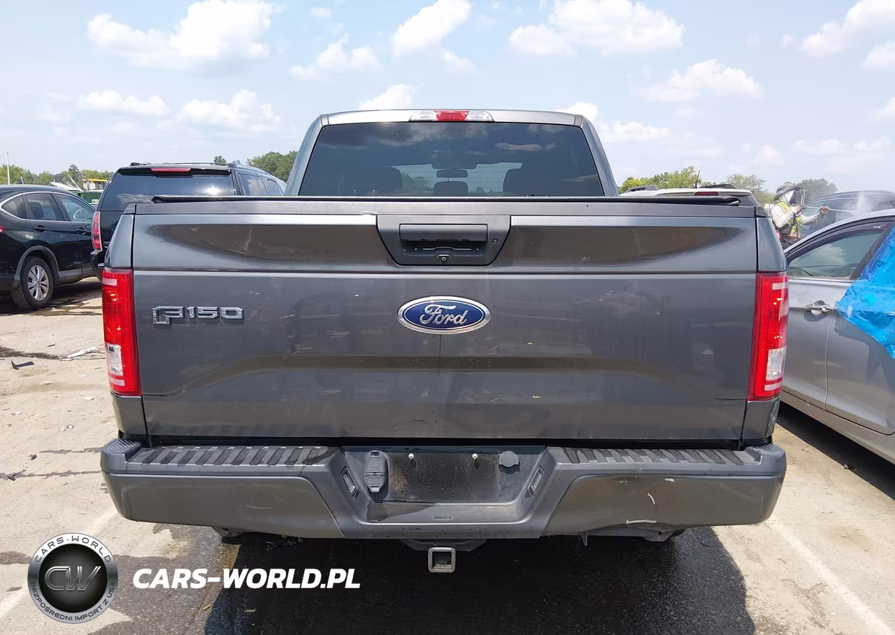 2017 Ford F-150 Xl VIN:1FTEW1EP0HFA31080 - 16