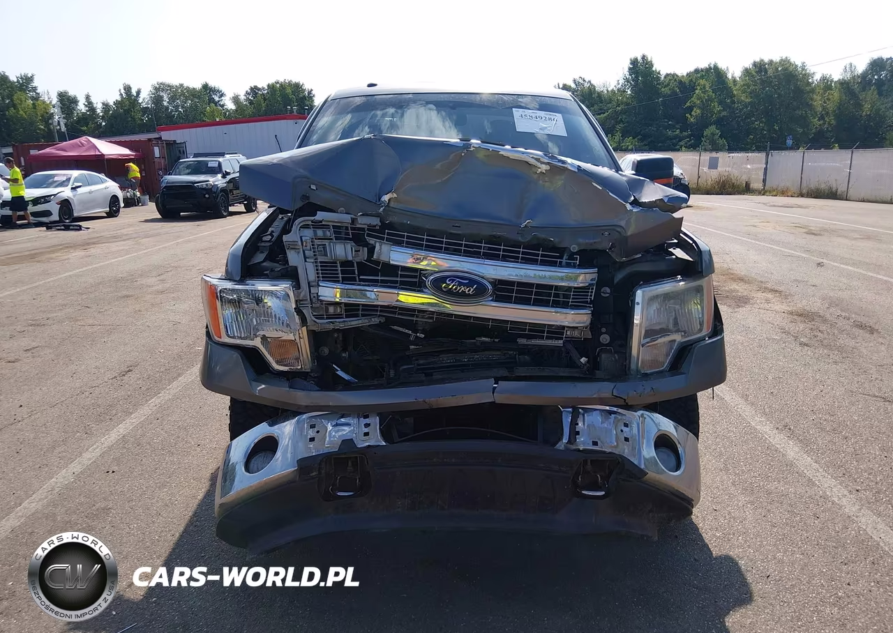 2014 Ford F-150 Xlt VIN:1FTFW1ETXEKD97570 - 12