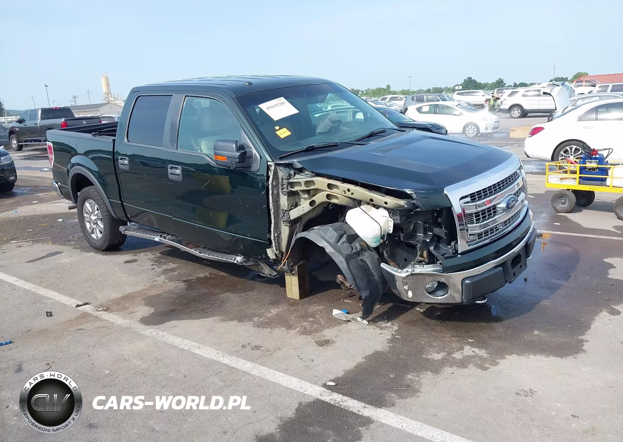 2013 Ford F-150 Xlt VIN:1FTFW1EF7DKD38906 - 1