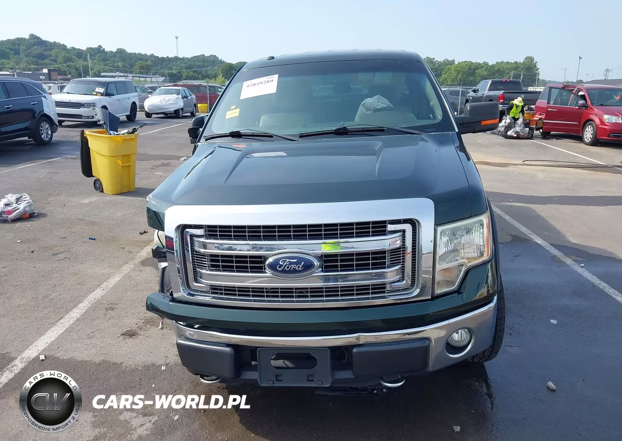 2013 Ford F-150 Xlt VIN:1FTFW1EF7DKD38906 - 13