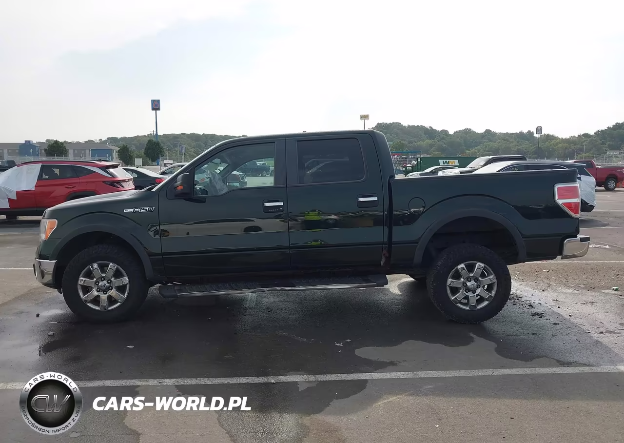 2013 Ford F-150 Xlt VIN:1FTFW1EF7DKD38906 - 15