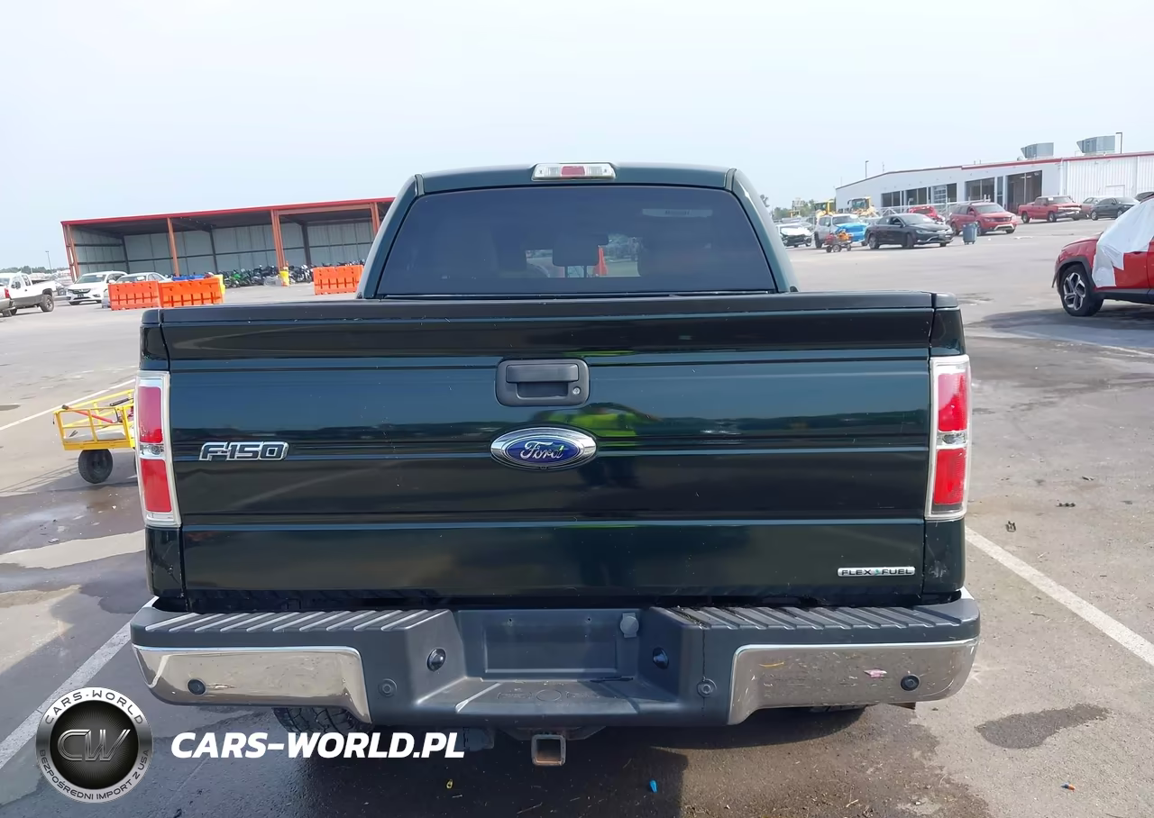 2013 Ford F-150 Xlt VIN:1FTFW1EF7DKD38906 - 17