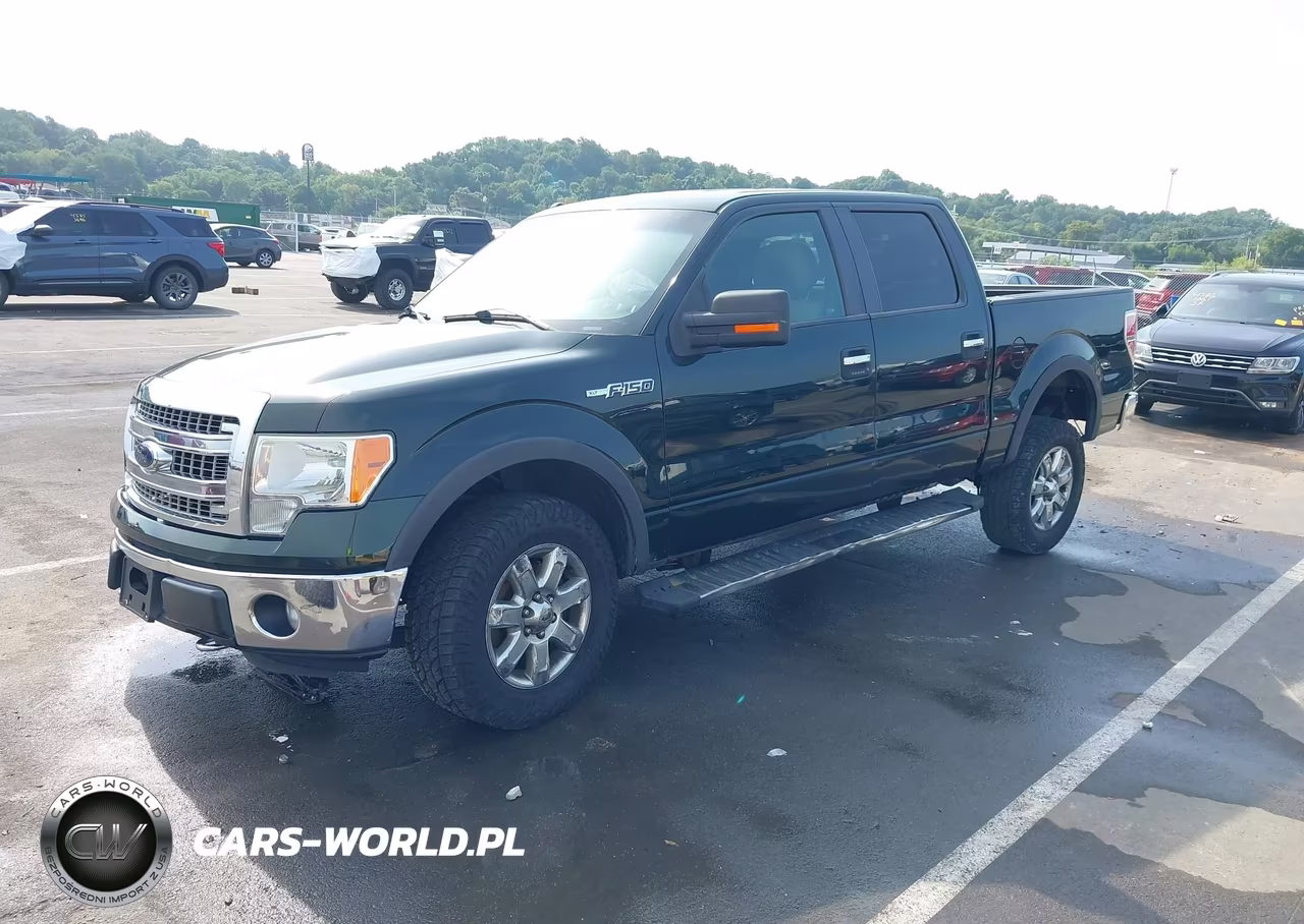 2013 Ford F-150 Xlt VIN:1FTFW1EF7DKD38906 - 2