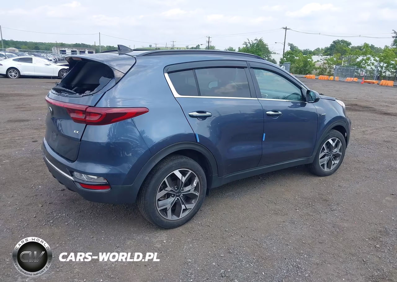 2020 Kia Sportage Ex VIN:KNDPNCAC6L7830522 - 4