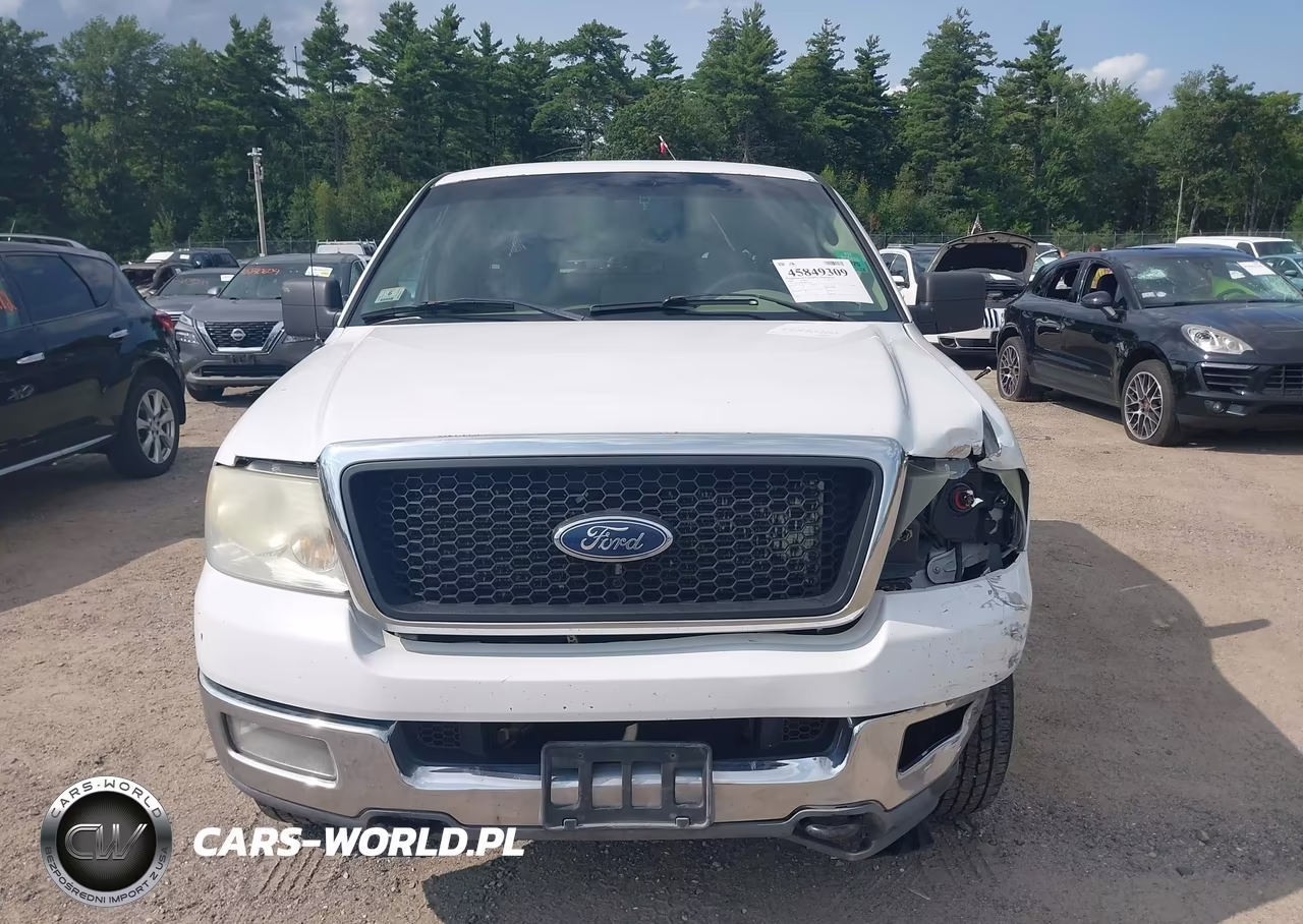 2004 Ford F-150 Stx-Xl-Xlt VIN:1FTRX14W44NC51104 - 12