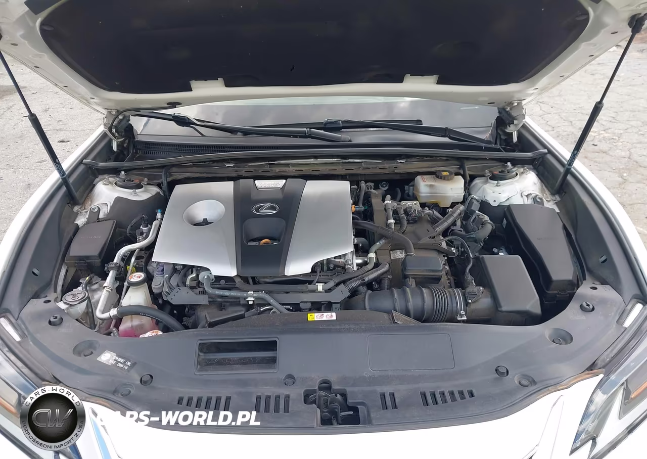 2019 Lexus Es 300H Ultra Luxury VIN:58AB21B12KU001049 - 10