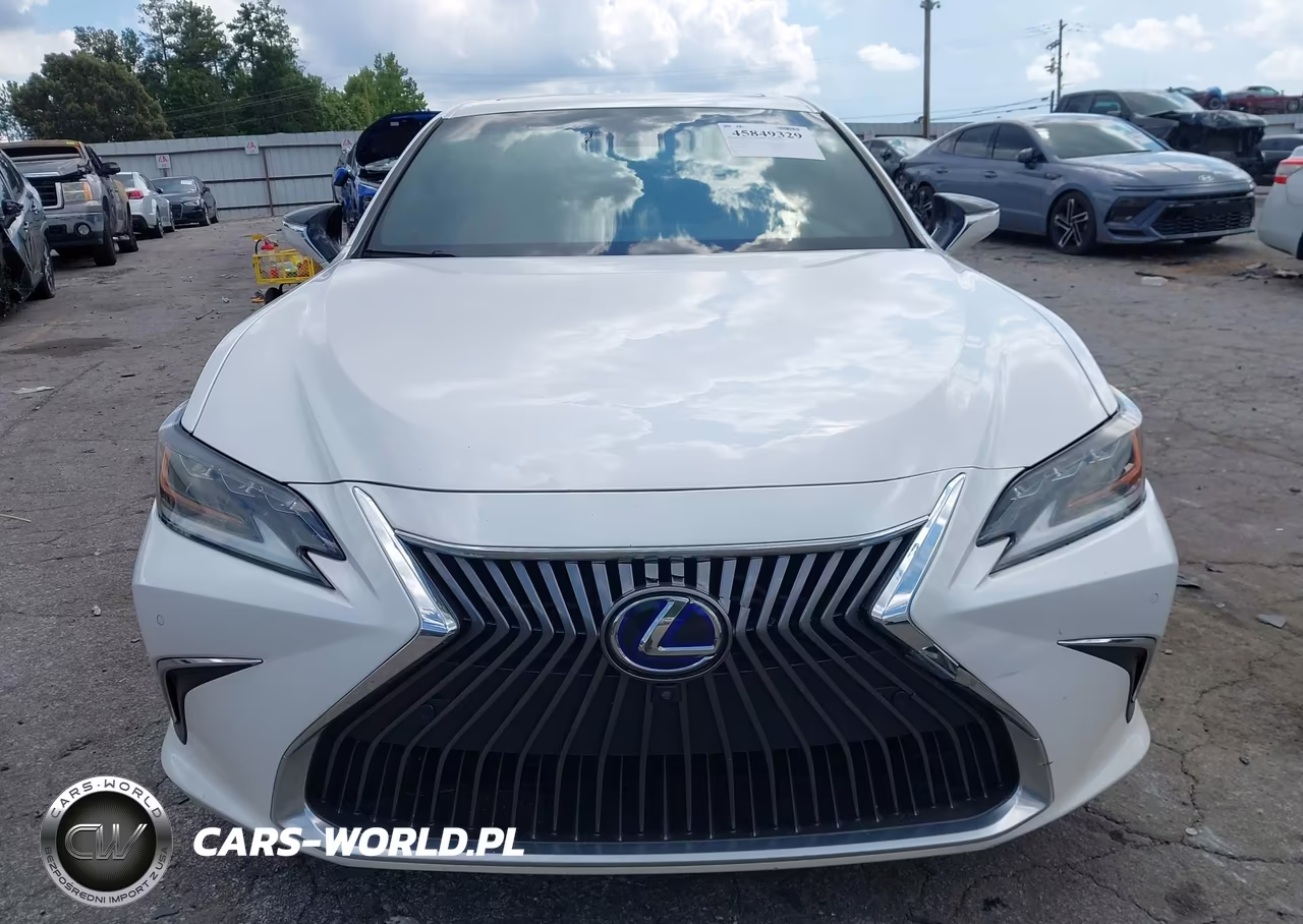 2019 Lexus Es 300H Ultra Luxury VIN:58AB21B12KU001049 - 12