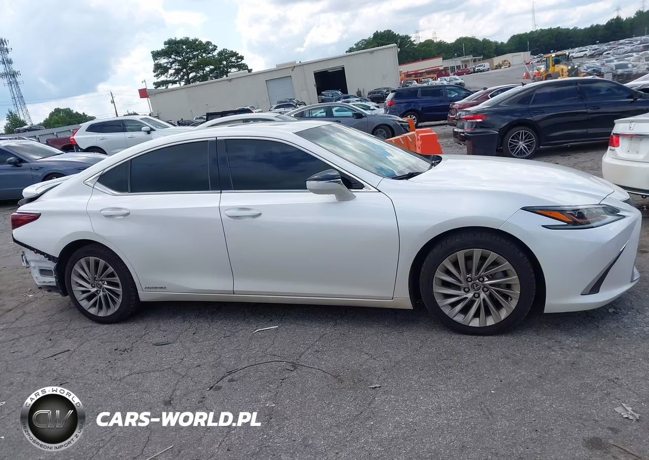 2019 Lexus Es 300H Ultra Luxury VIN:58AB21B12KU001049 - 13