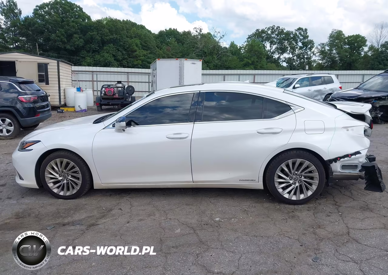 2019 Lexus Es 300H Ultra Luxury VIN:58AB21B12KU001049 - 14
