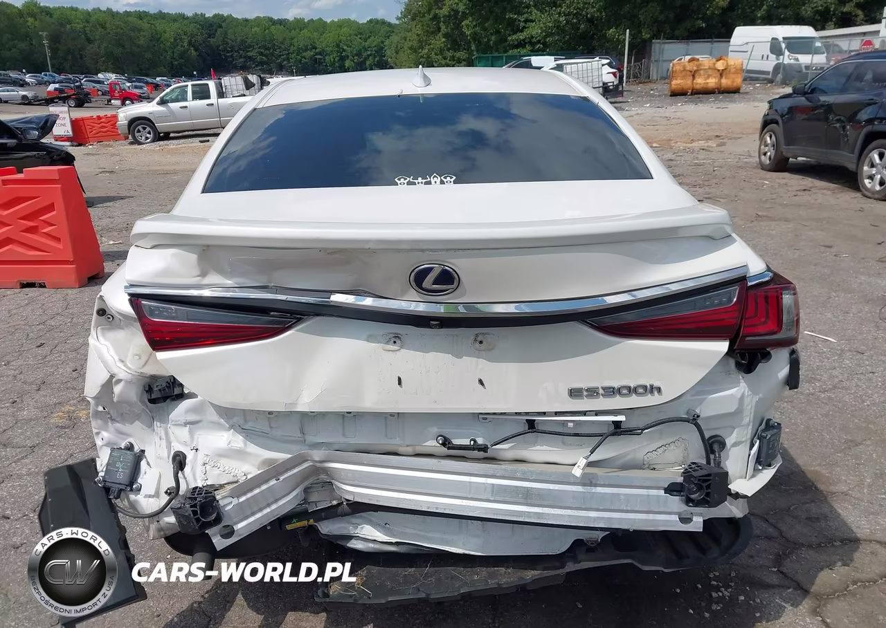 2019 Lexus Es 300H Ultra Luxury VIN:58AB21B12KU001049 - 17