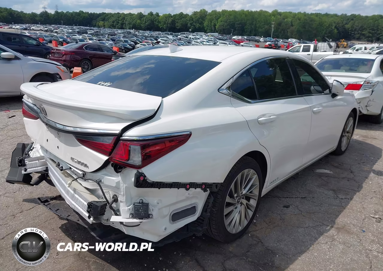 2019 Lexus Es 300H Ultra Luxury VIN:58AB21B12KU001049 - 18