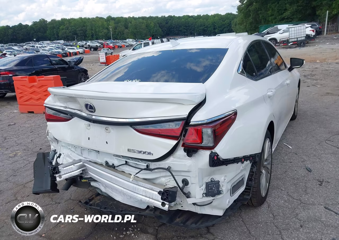 2019 Lexus Es 300H Ultra Luxury VIN:58AB21B12KU001049 - 4