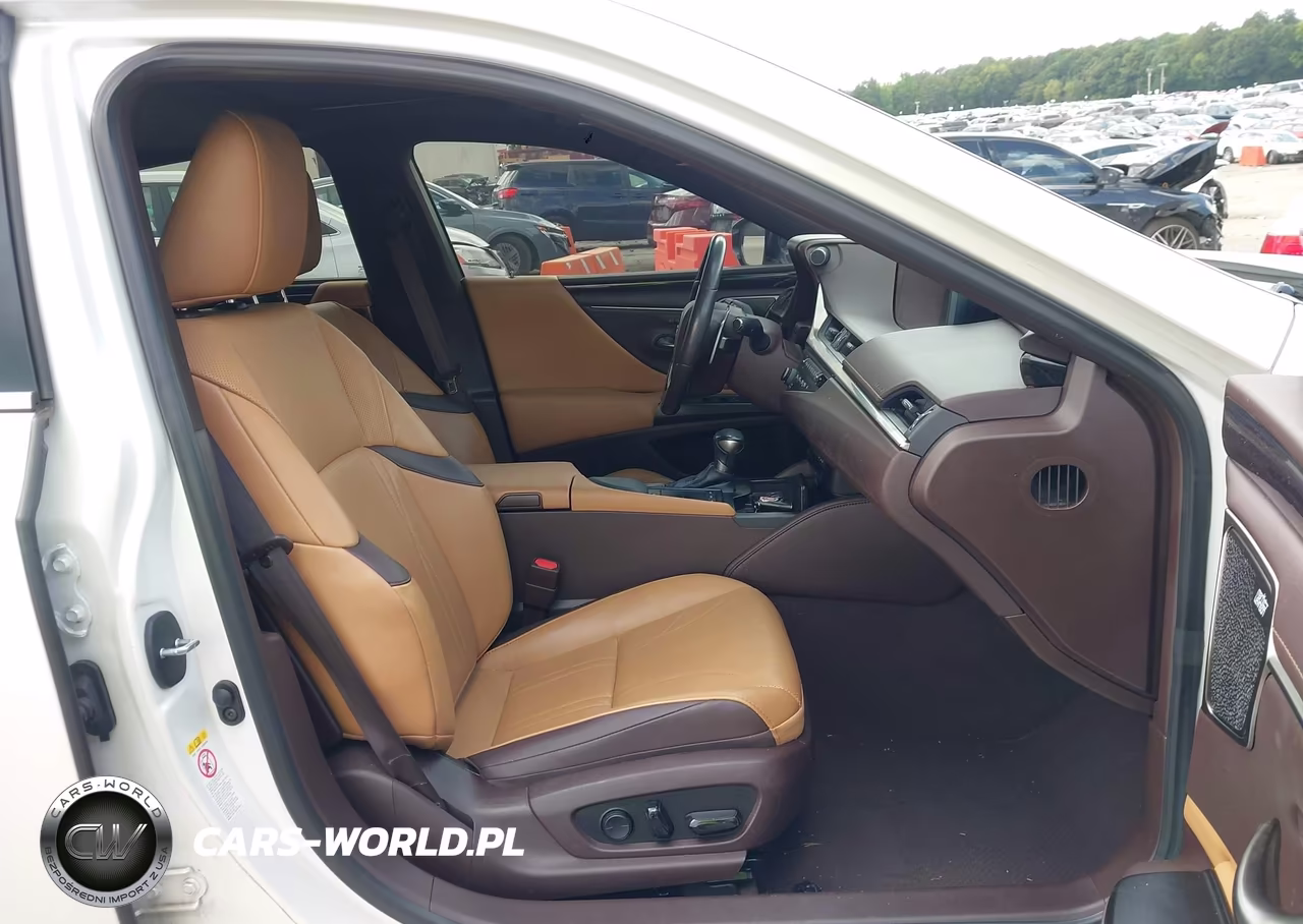 2019 Lexus Es 300H Ultra Luxury VIN:58AB21B12KU001049 - 5