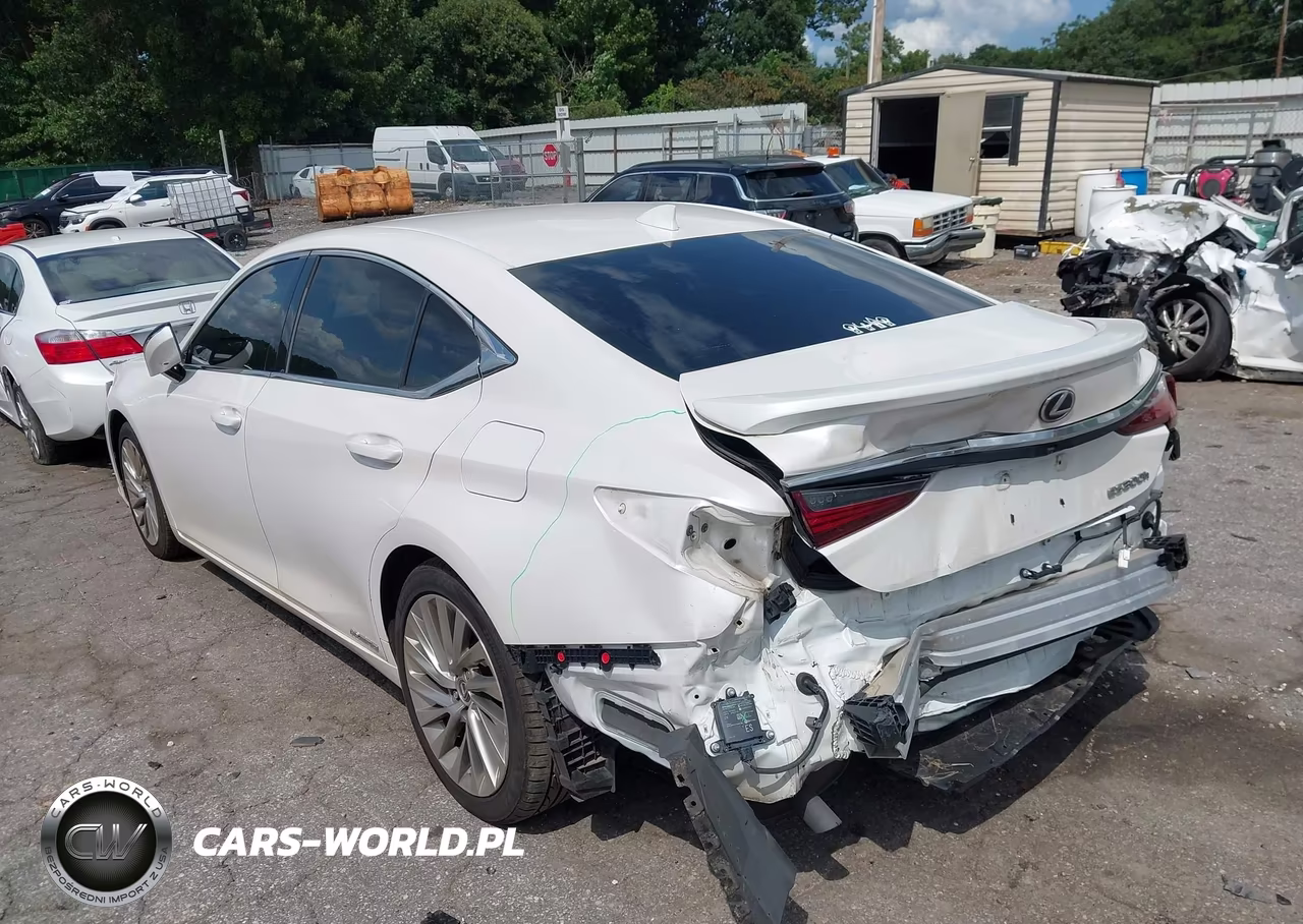 2019 Lexus Es 300H Ultra Luxury VIN:58AB21B12KU001049 - 6