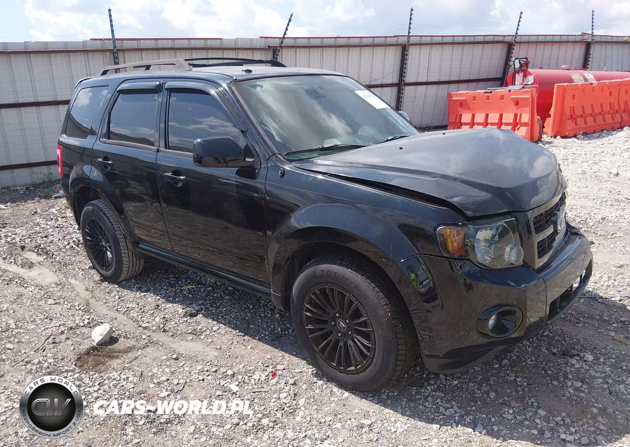 2009 Ford Escape Xlt