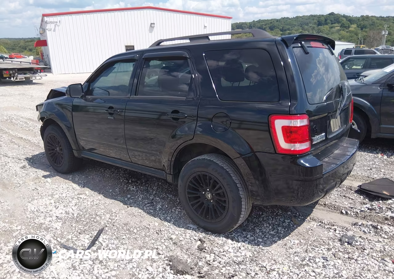 2009 Ford Escape Xlt VIN:1FMCU03G59KB71088 - 3