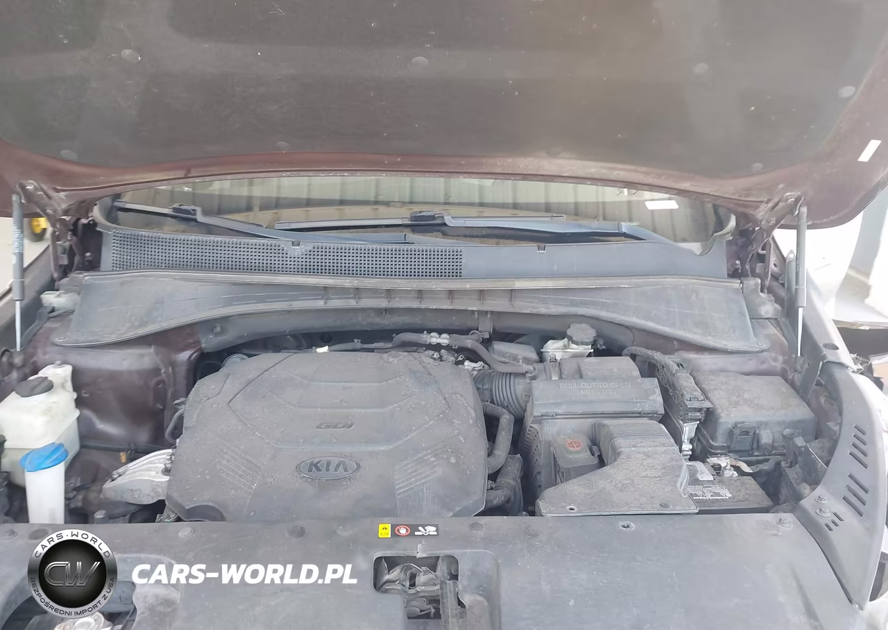 2019 Kia Sorento 3.3L Ex Sport VIN:5XYPH4A50KG605707 - 10