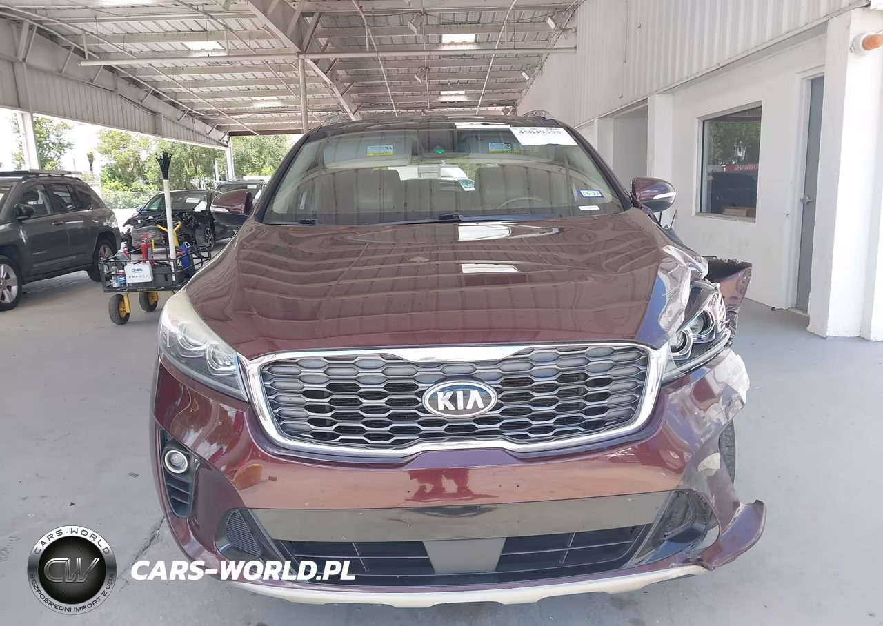 2019 Kia Sorento 3.3L Ex Sport VIN:5XYPH4A50KG605707 - 12