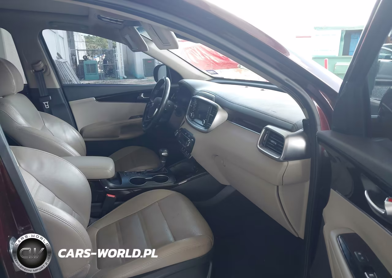 2019 Kia Sorento 3.3L Ex Sport VIN:5XYPH4A50KG605707 - 5