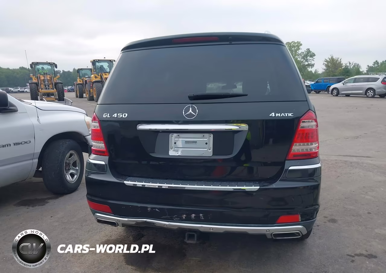 2010 Mercedes-Benz Gl 450 4Matic VIN:4JGBF7BE6AA535673 - 16