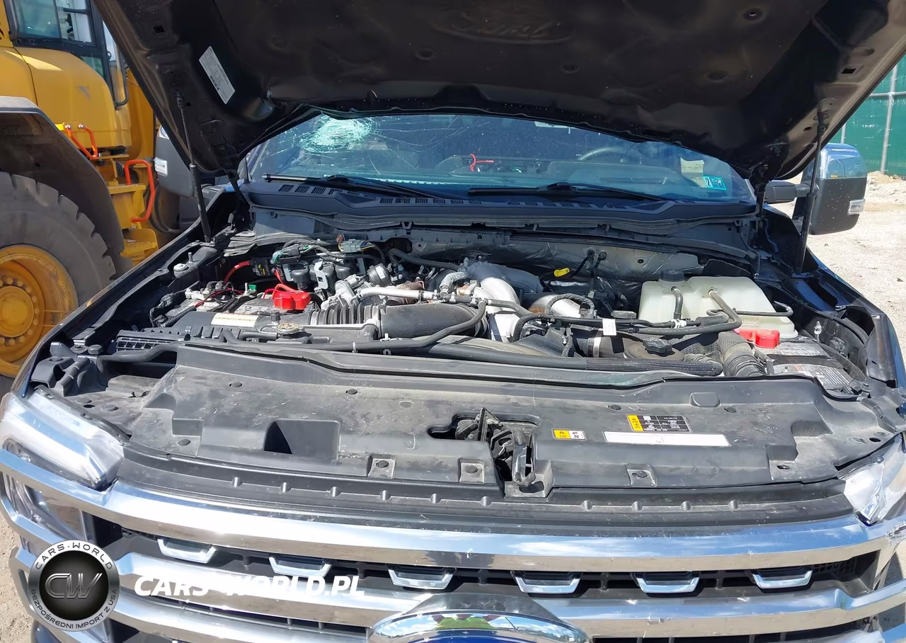 2024 Ford F-250 Platinum VIN:1FT8W2BT6REE66259 - 10