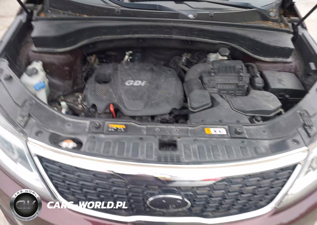 KIA SORENTO LX VIN:5XYKTCA66EG497383 - 10