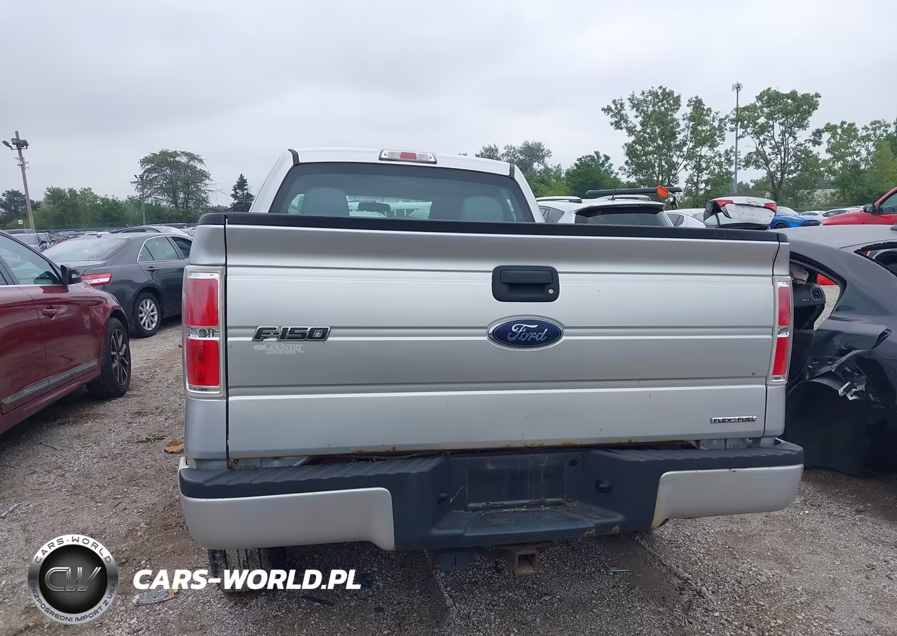 2013 Ford F-150 Stx VIN:1FTFX1EF8DFD24051 - 16