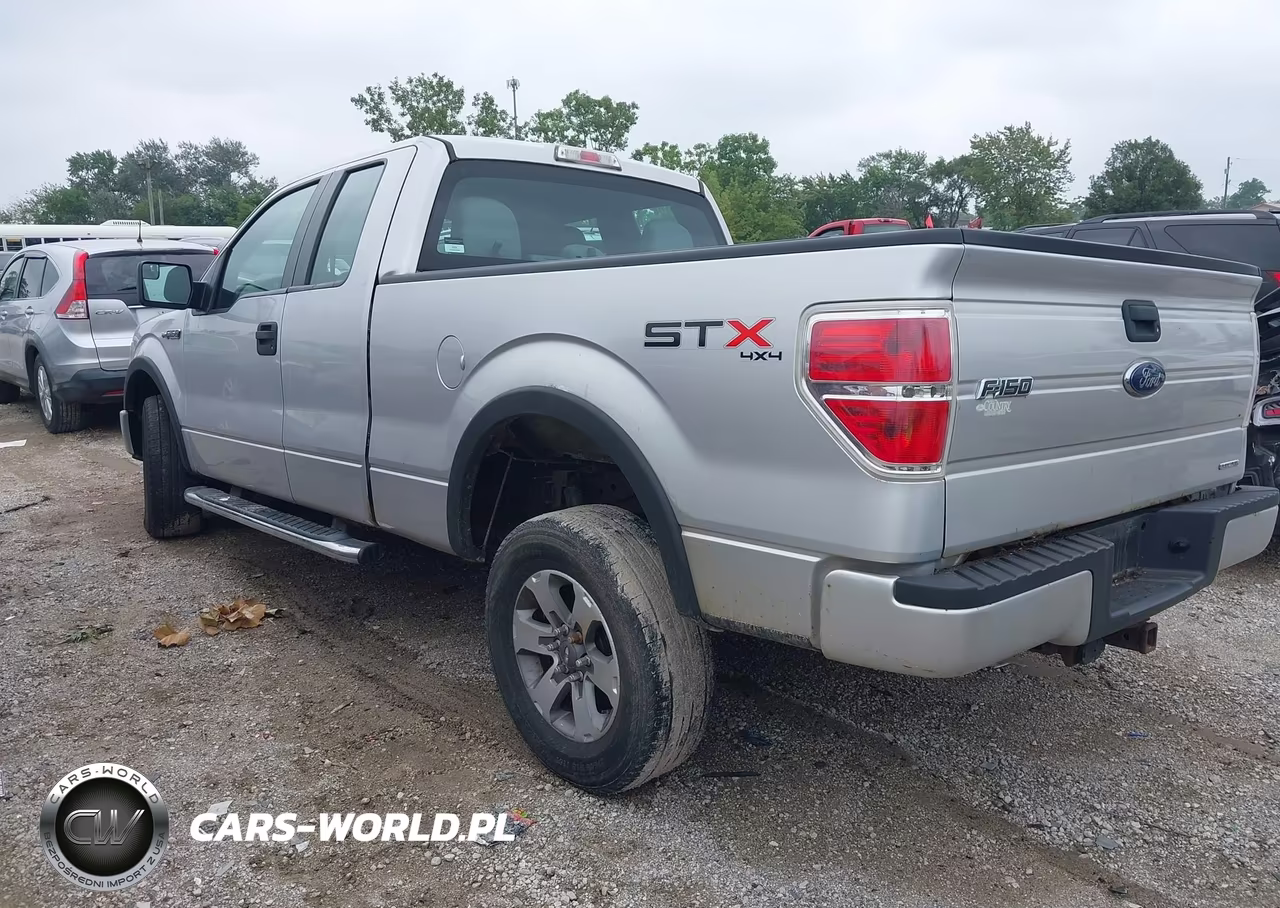 2013 Ford F-150 Stx VIN:1FTFX1EF8DFD24051 - 3